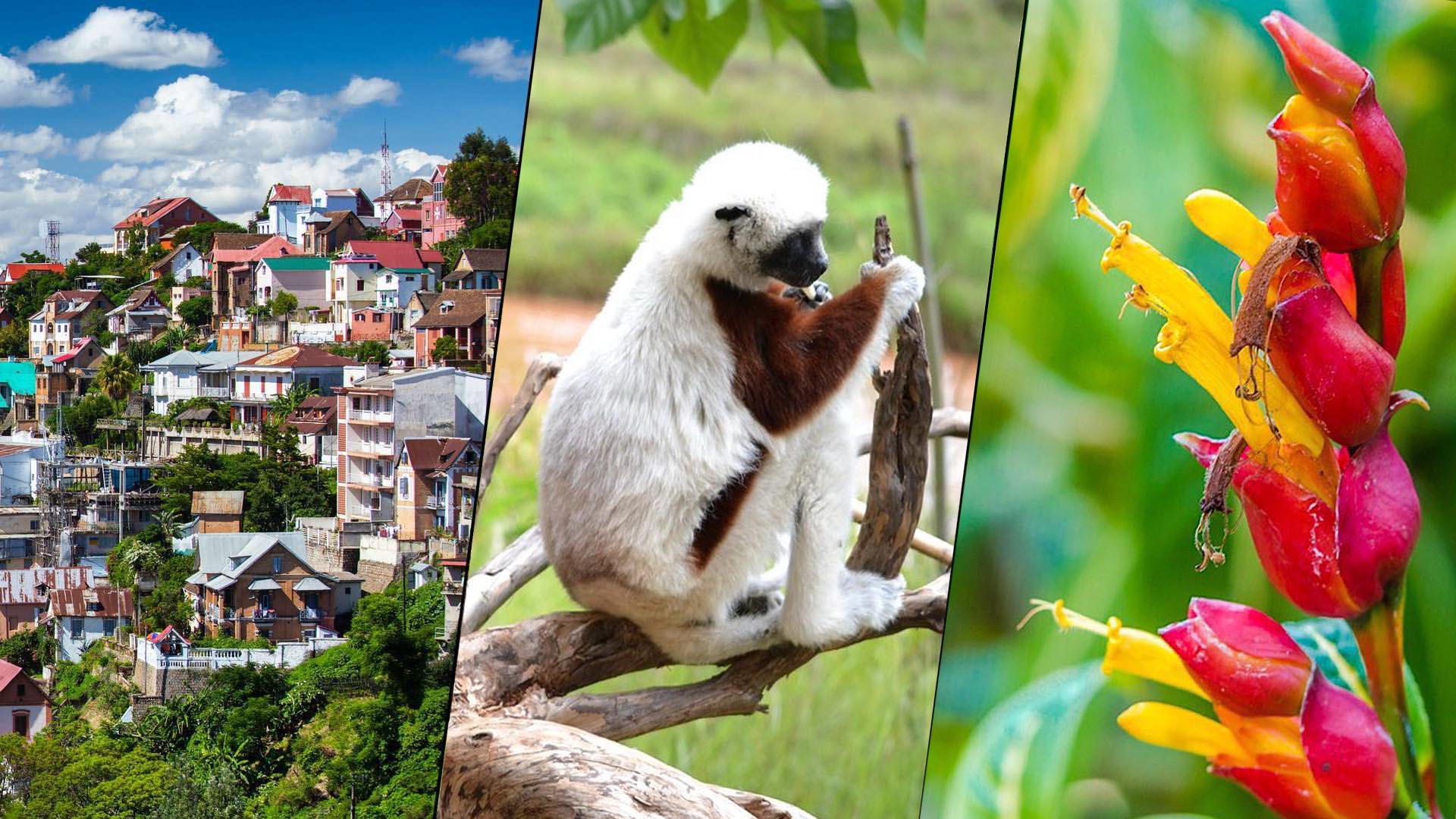 3 Antananarivo Attractions